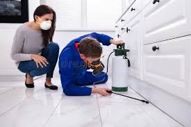 Best Pest Prevention Services  in Perth Amboy, NJ